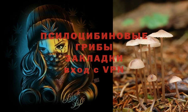бошки Аркадак