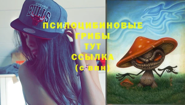 соль курить ск Армянск