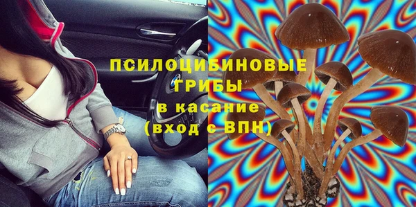 бошки Аркадак