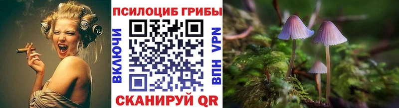 Галлюциногенные грибы Psilocybe Байкальск