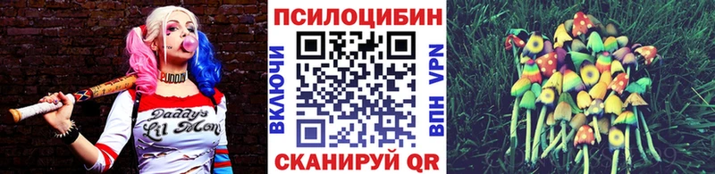 Галлюциногенные грибы прущие грибы  shop какой сайт  Байкальск 
